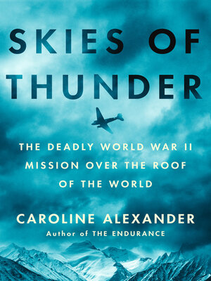 cover image of Skies of Thunder